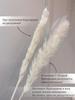 Straw Dried Flower Home DIY Decoration