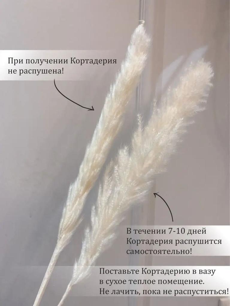 Straw Dried Flower Home DIY Decoration