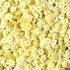 100g DIY Squishy Toy Filler Stress Relief Craft Stuffing Accessory  Kids Toy