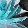 Zen Spa Shower Curtain Grey Bamboo Stone With Teal Water Lily In Water Bathroom Shower Curtain Teal And Gray Bathroom Curtain