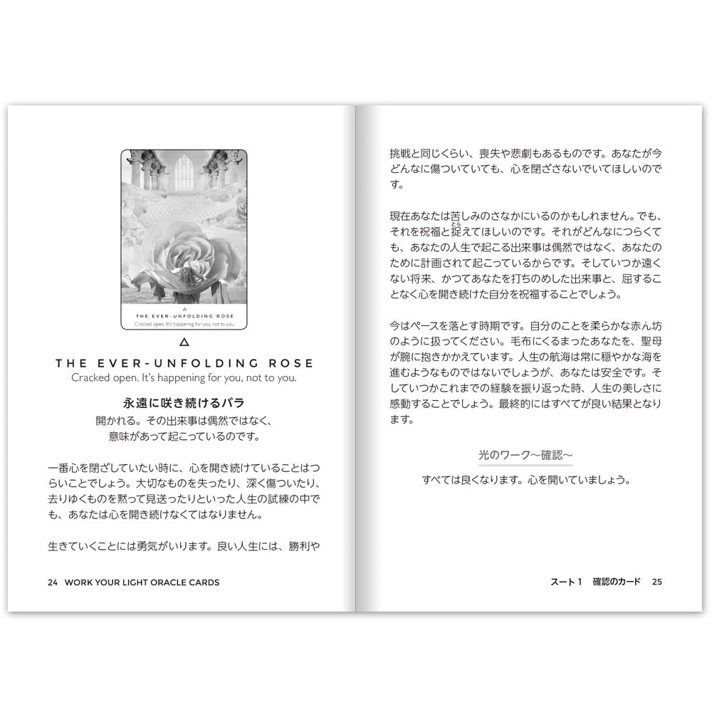 Oracle Cards Work Your Light Oracle Card Awakening Box Japanese Edition Affirmations Fortune Telling with Japanese Instructions I.I.J