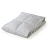 Showa Nishikawa Down Blanket, Feather Duvet, Spring, Summer, Autumn, Single, Lightweight, Thin,