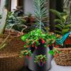 7Gallons Strawberry Planting Bag Grow Bag With 6 Side Grow Pocket Portable Tomato Planting Bags Strawberry Pots Planting Pots