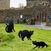 3 Pezzi Pali da Giardino in Metallo Gatto Nero con Occhi Riflettenti Pali Gatto Dissuasore per Uccelli Pali Decorativi da Esterno per Giardino Esterno