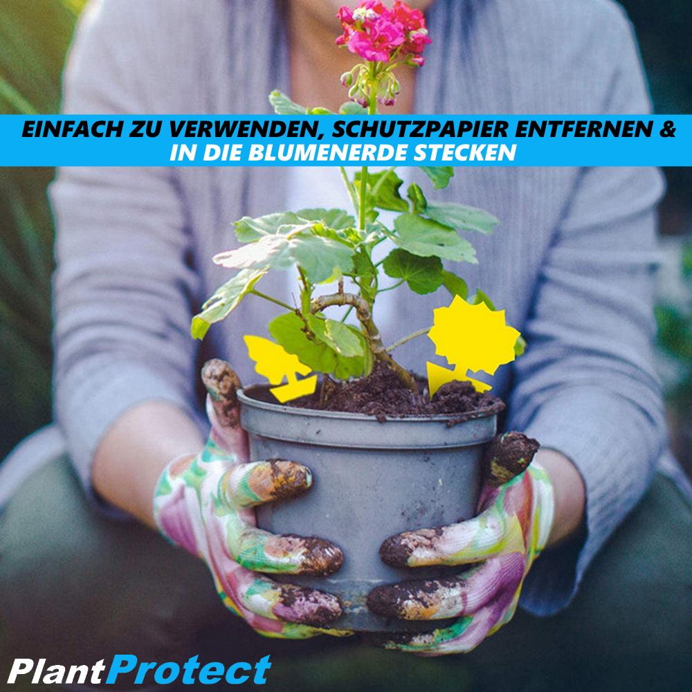 PLANTPROTECT Gelbsticker Gelbtafeln Trauermücken Insektenfalle Fruchtliegenfalle