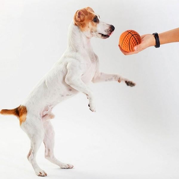 Dingdongpet Pet Latex Scaling Ball Random Delivery, Random Delivery, 1 Set