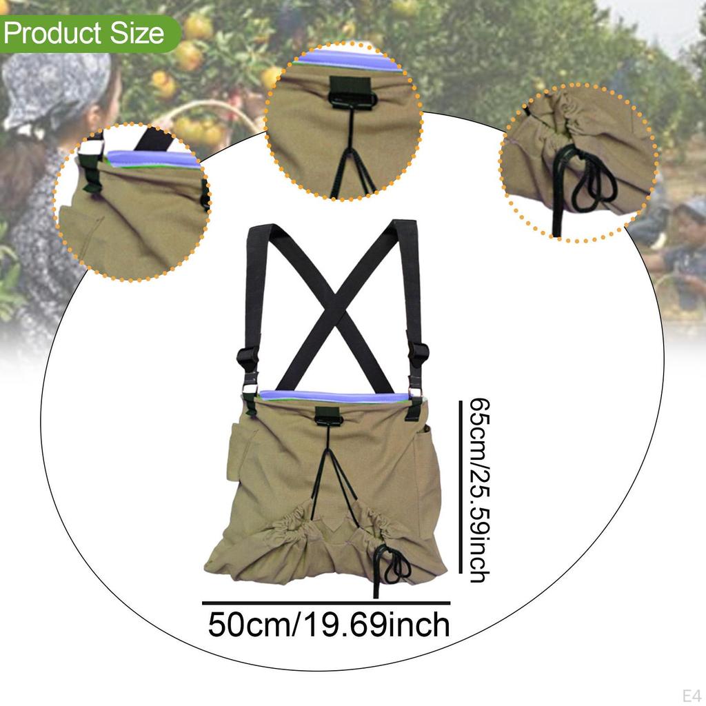 Canvas Bag for Fruit Collection, Foraging Holder Garden Use