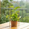 Climbing Plant Trellis Gold Metal Support Tall Slim for
