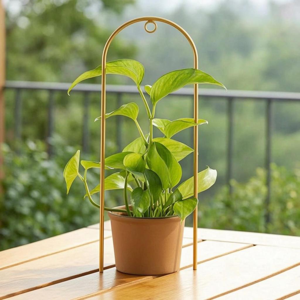Climbing Plant Trellis Gold Metal Support Tall Slim for