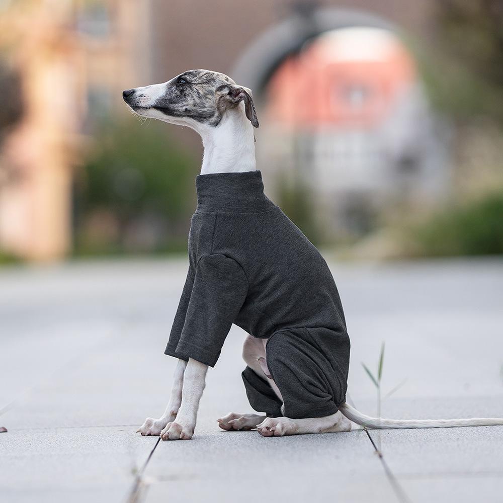 Four-legged Bottoming Shirt, Universal In Autumn and Winter, Dog Turtleneck Loungewear, Dust-proof Clothing, Low-saturation Pet Dog Clothing