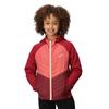 Regatta Childrens/Kids Kielder Hybrid VII Padded Jacket