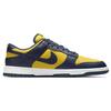 Nike Dunk Low 'Michigan' 2021 DD1391-700