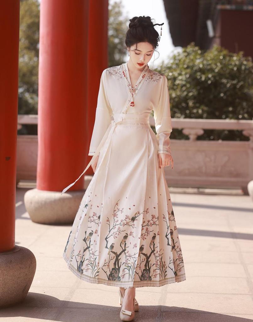 Ming Dynasty-inspired Embroidered Hanfu Skirt and Top Set