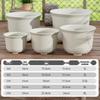 Dewodo Flower Pot Tray with Water Catcher Base