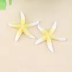 E-Commerce Firm Sale 40mm Flatback Resin Cabochons Large Starfish Design with Artificial Sea Theme for Souvenirs