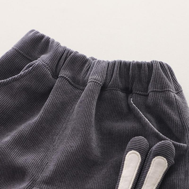 Autumn and Winter Boys Clothing Set New Children's Korean Edition Hooded Sweater Pants Two piece Set Girl Baby Velvet Set