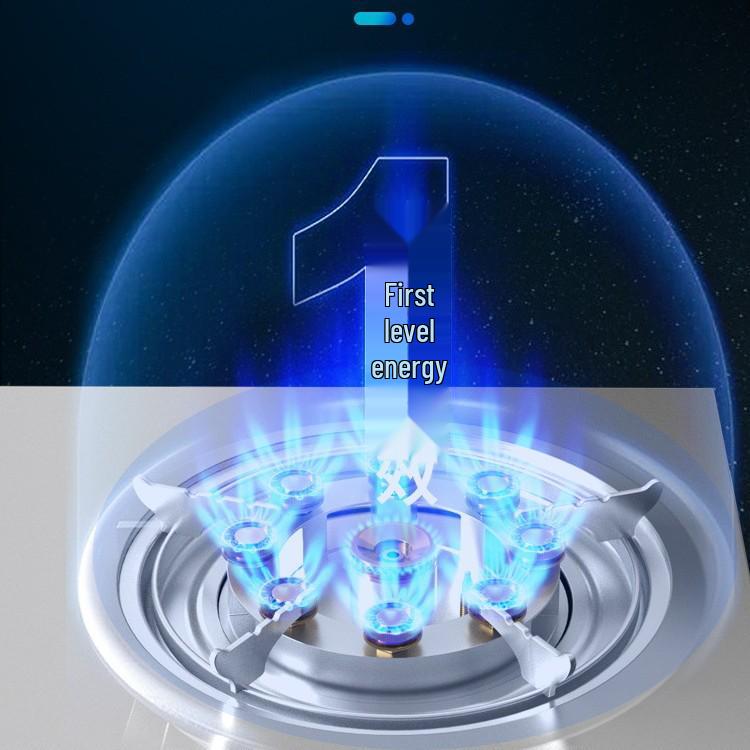 Royalstar Double Burner Tabletop Gas Stove for Natural and Liquefied Gas