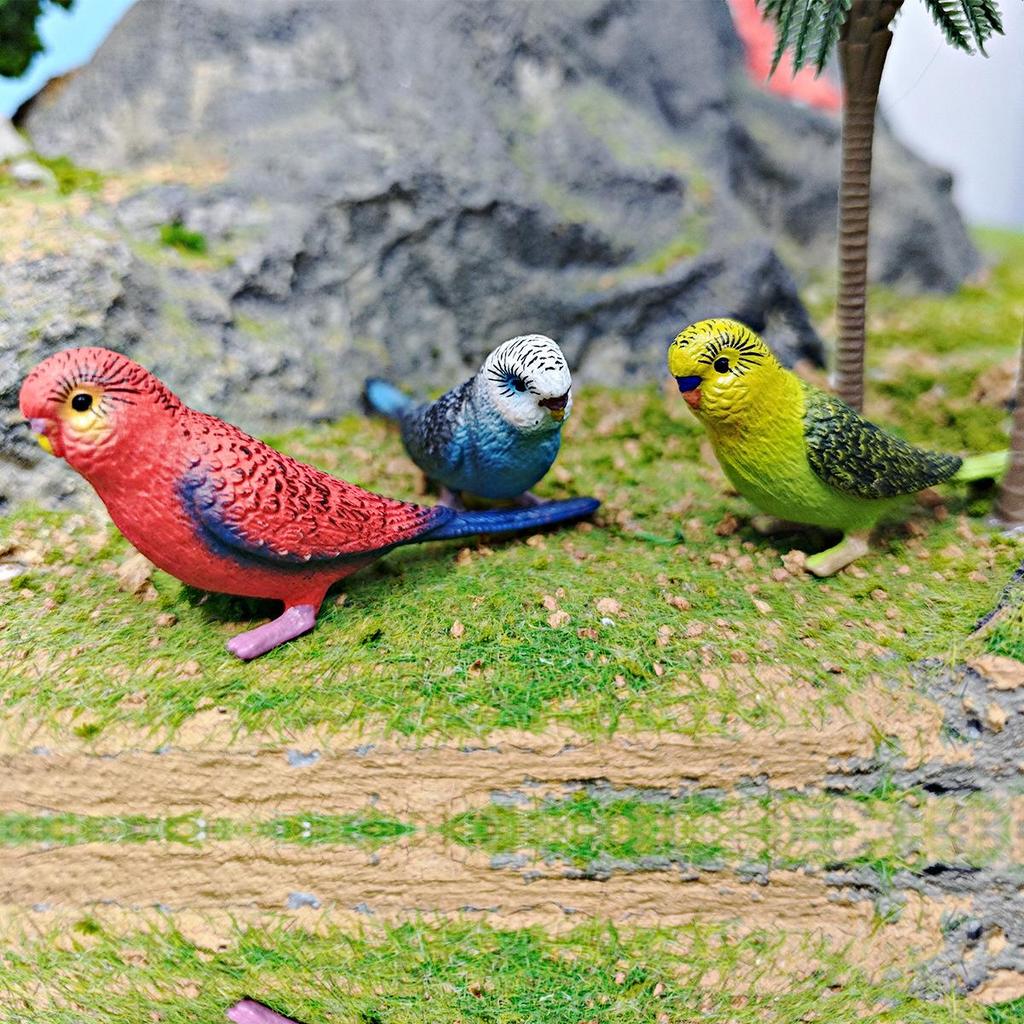 Cross-border Bird Model: Children's Budgerigar & Cockatiel Desktop Decor