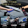 (16,9 fl oz (500 ml) (Verbessertes Modell) Auto , Deutsches High-Tech, Carsonic Nanometer