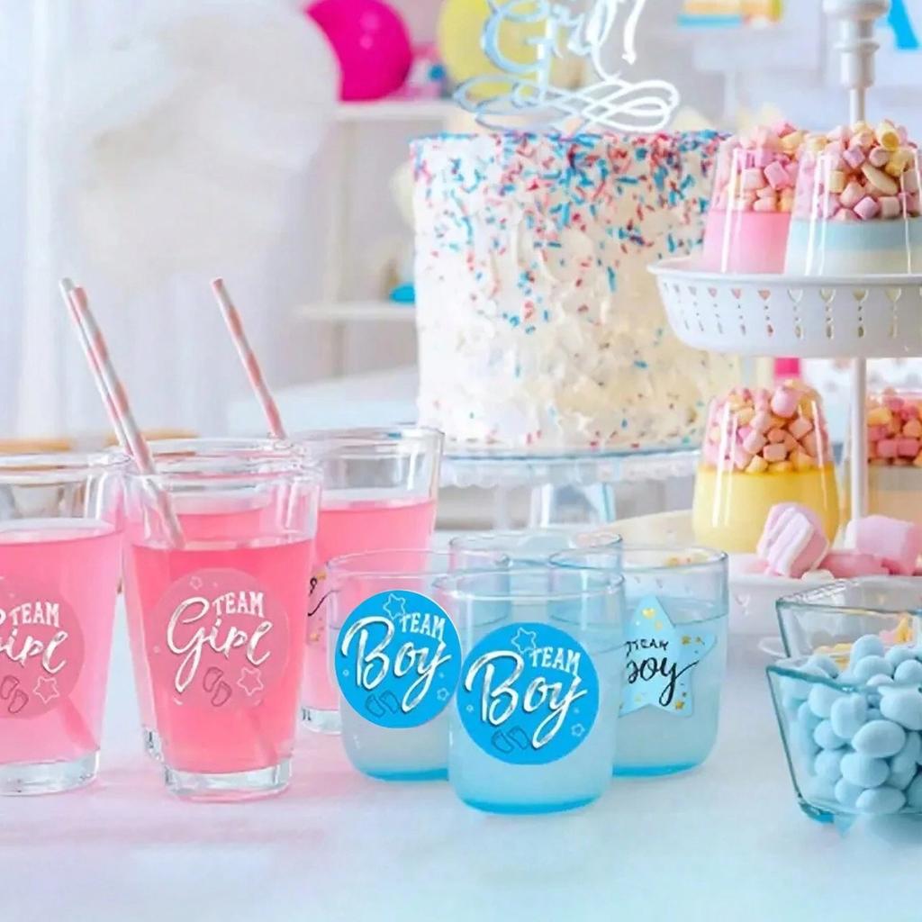 50-500Pcs Per Roll Team Boy Team Girl Gender Reveal Pink Blue Round Stickers Baby Shower Stickers Personalized Party Stickers