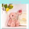 Adorable Pink Plush Bunny Mousse Stuffed Animal Cute Rabbit Cuddle Pillow Gift