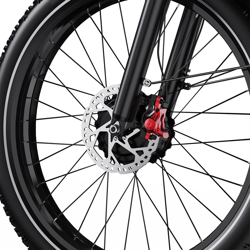 Elektrische Fiets DUOTTS F26 20" Dikke Banden 750Wx2 Dubbele Motor Elektrische Fiets Voor Volwassenen 48V 20AH LED Display Maximaal Bereik 100Km Maximale Belasting 150Kg