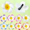 Fermagli per capelli con fiori hawaiani, Fermagli per capelli in schiuma di frangipani, Decorazioni per feste tropicali hawaiane, vacanze al mare/piscina Forniture per feste hawaiane, Nuziale