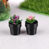 5ks 1:12 Simulační rostlina domečku pro panenky Model v květináči Miniaturní domeček pro panenky Zahrada Domácí ozdoby Dekorace na mikro scénu Hračky