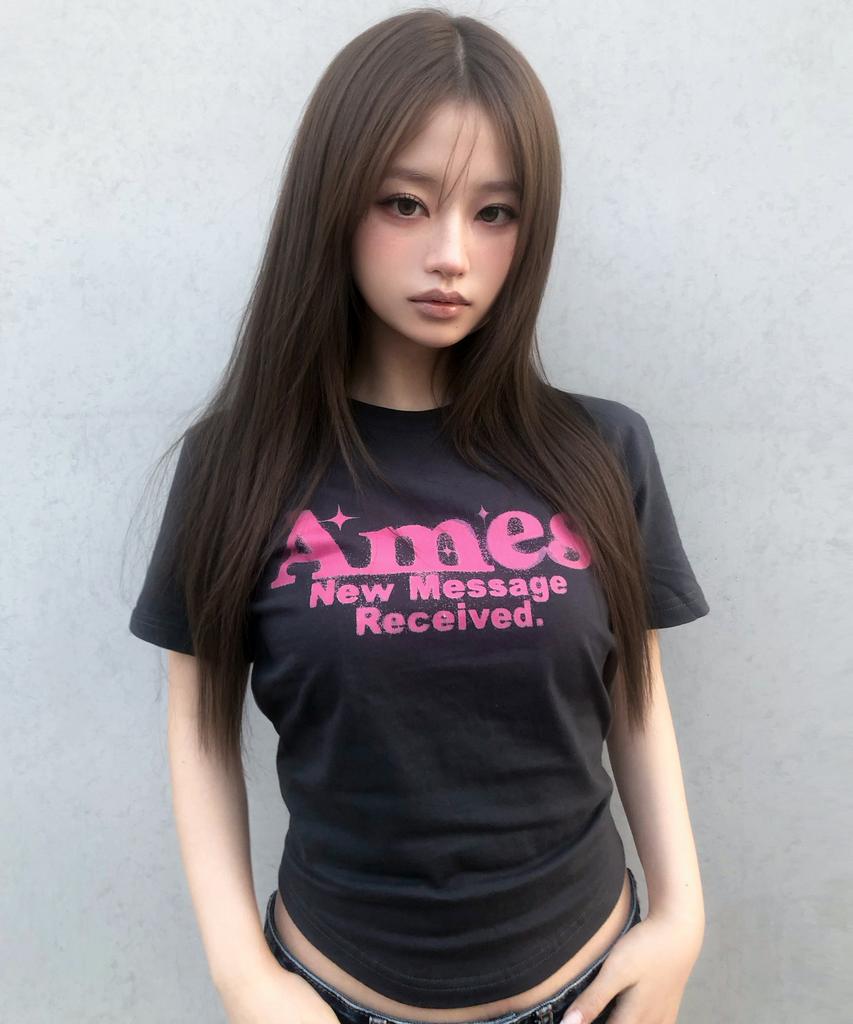 AMES-WORLDWIDE Round Hem Crop Tee Charcoal