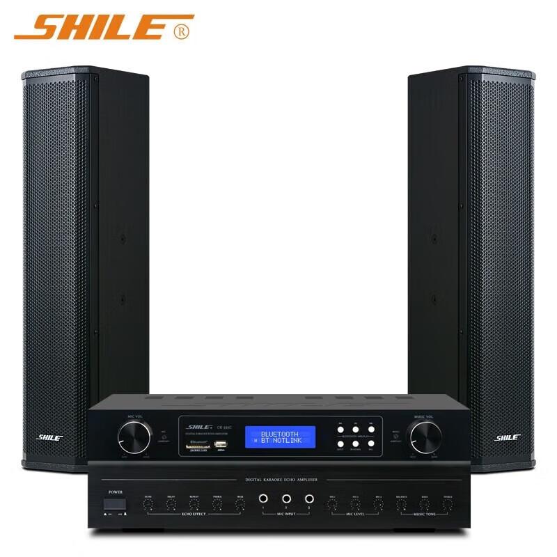 

Shile Professional Linear Array Column Speaker System