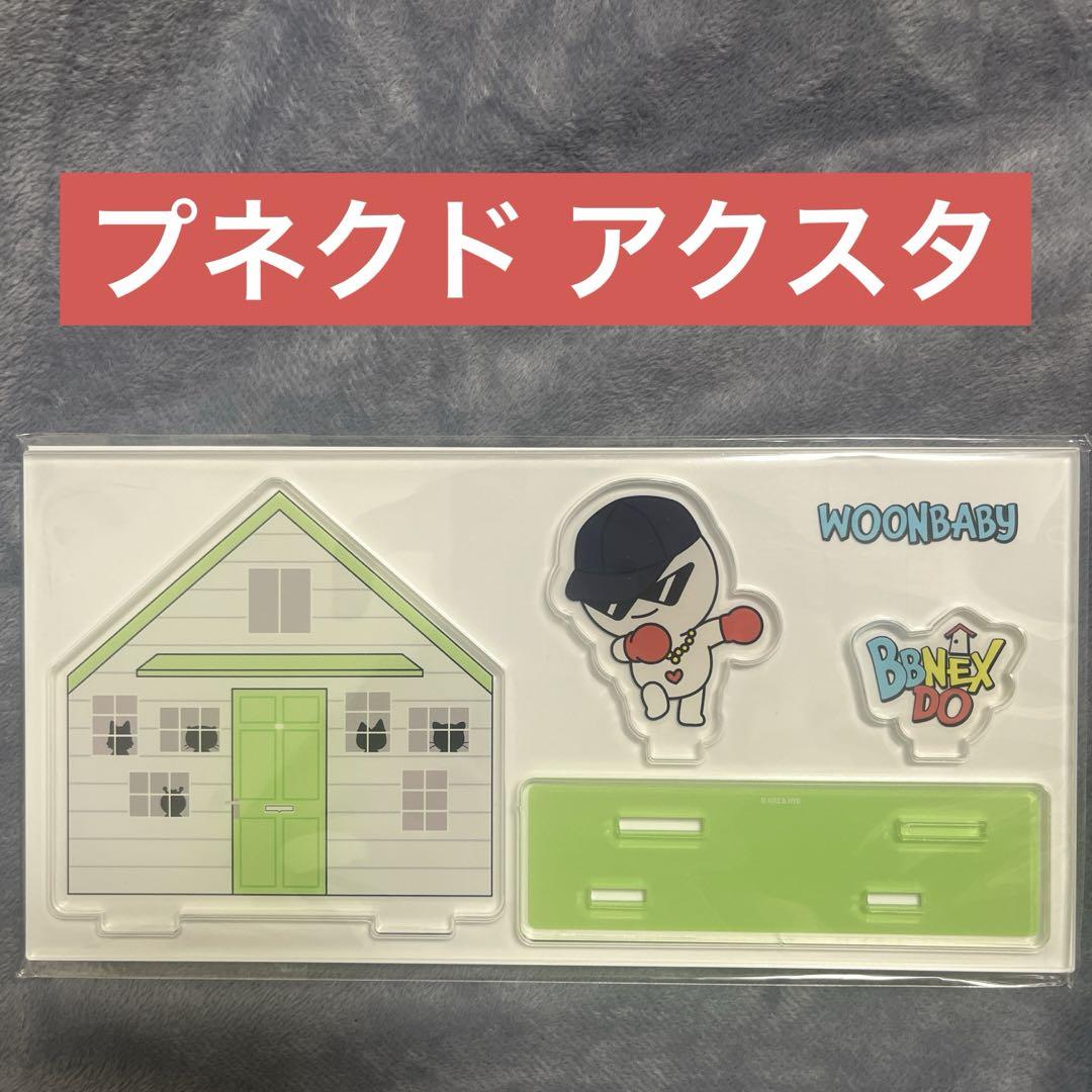 

[Б/У] Global Limited BOYNEXTDOOR Punekudo Акриловая подставка Unaku