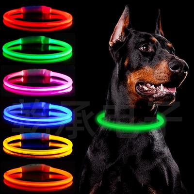 Collier pour chien LED rechargeable par USB avec anneau lumineux