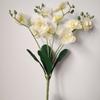 Lifelike Simulation Orchid Flowers Realistic Faux Phalaenopsis  Home Living Room Decor