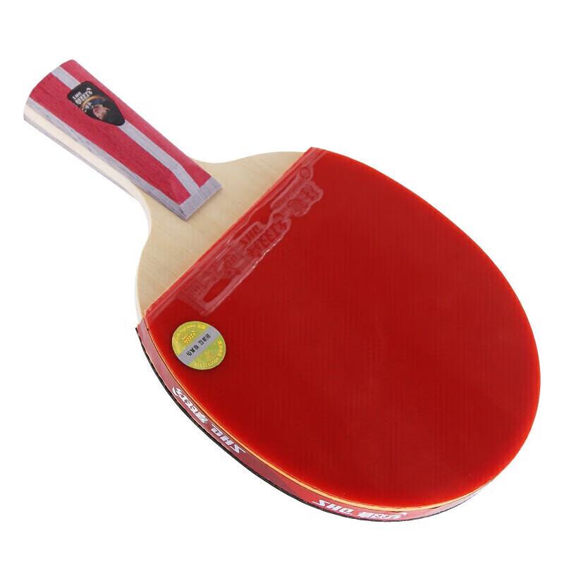 DHS H4006 4-Star Penhold Table Tennis Racket