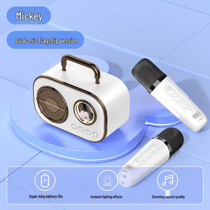 Veizhi Disney Portable Bluetooth Speaker with Dual Microphones