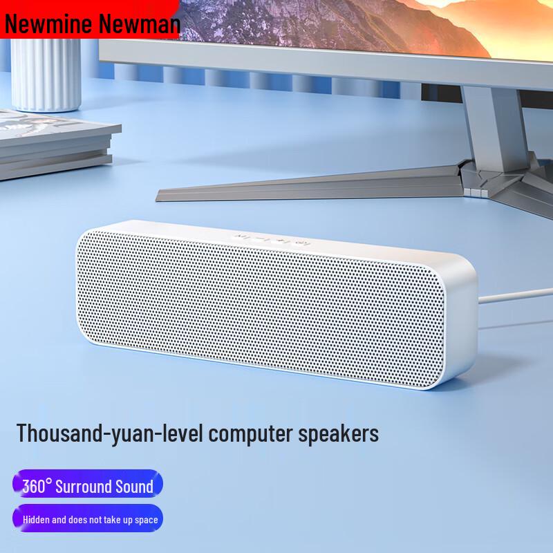 Newmine Desktop & Laptop Computer Speakers