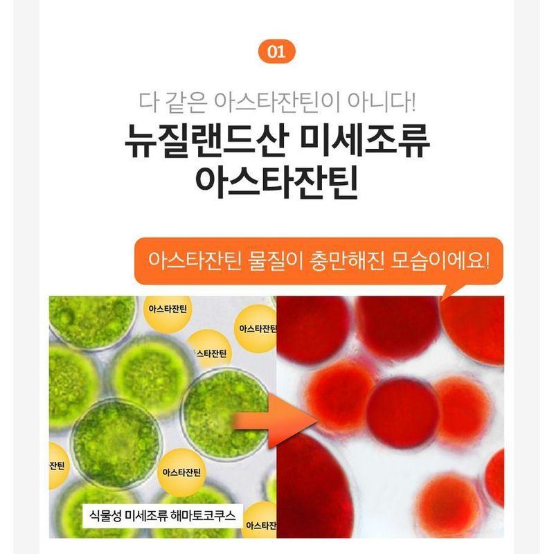 SUNGBOON EDITOR Active Marine Astaxanthin Capsule Serum