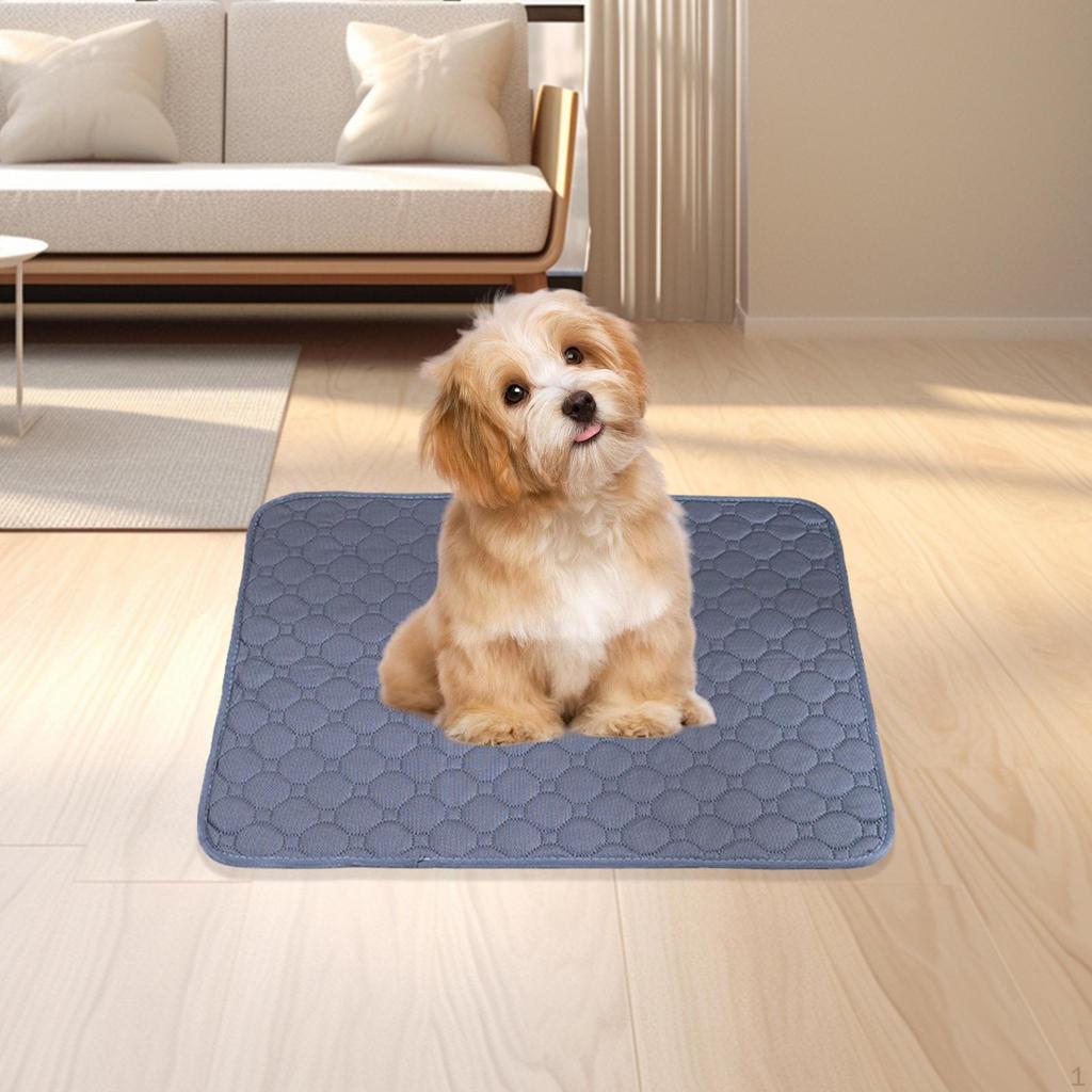 Reusable Dog Training Pad - Absorbent and Durable