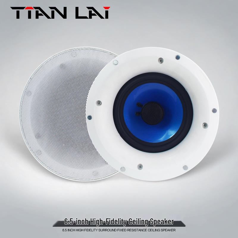 6.5-inch Ceiling Speaker for Background Music and Broadcast