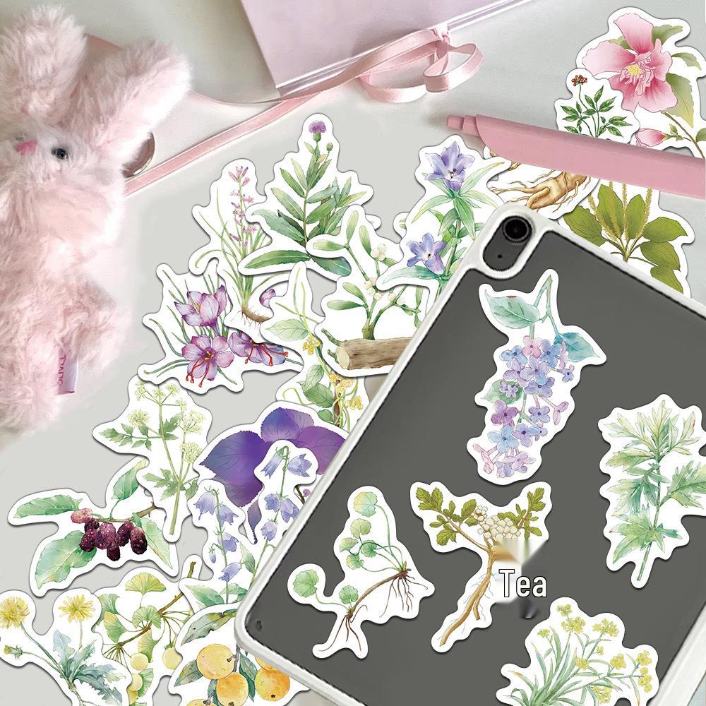 50 Sheets Creative Chinese Medicine Plants Cartoon Stickers for DIY Journal Decoration