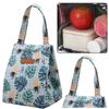 Colorful Insulated Lunch Bag with Pineapple and Leaf Pattern 25x18.5x18cm Reusable Thermal Cooler Tote for Picnic Beach Outdoor