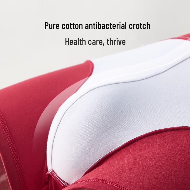 Lee Men's Lucky Red Cotton Boxer Briefs (2-Pack)