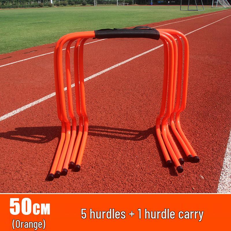 LISM Children s Training Hurdles
