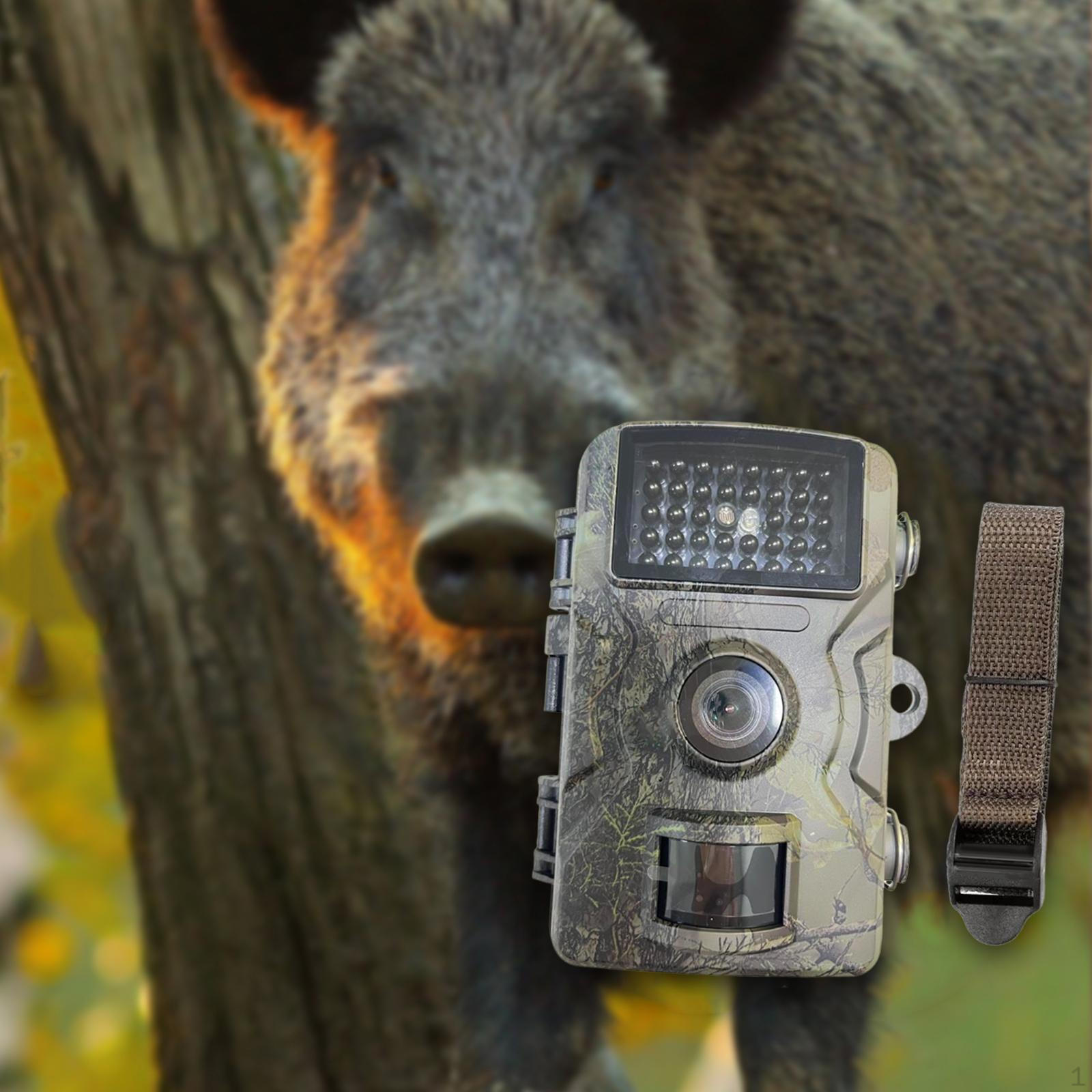 

Лісова камера для вулиці для моніторингу дикої природи, полювання, саду