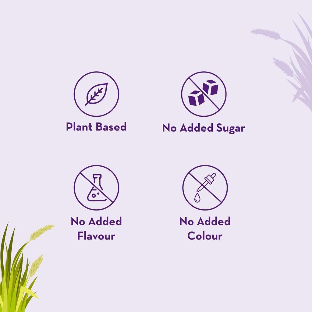 Baidyanath Asli Ayurved Wheatgrass Juice 500ml Natural Superfood Drink Detox Energy Booster