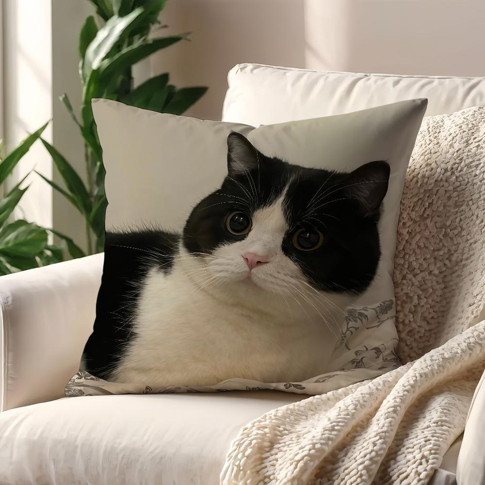 Black White Cat Cute Cow Cat Cushion Cover For Pillow Printing Sofa Decoration Home Car Room Coffee Shop Office NordicSimplicity
