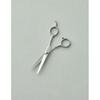 Park Joon Beauty Lab Park Joon Advanced Cutting Scissors