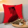 Cushion Cover  Linen  SkinFriendly Soft Decorative Case for Sofa Home Decor Movie SSamurai Jack Pillow cover