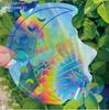 Sunflower Suncatcher Window Big Sticker Star Moon Evil Eye Sunlight Catcher Butterfly Sun Catcher Cat Rainbow Film for Car Glass
