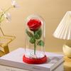 Valentine's Day Immortal Flower Glass Cover Gold Foil Rose Romantic Bouquet Ornament Couple New Year Birthday Gift